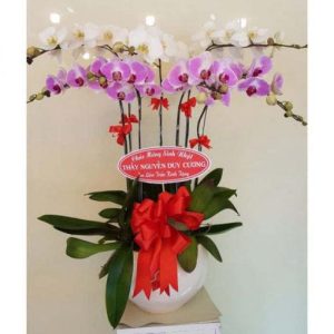 Shop Hoa Tươi Thị Trấn Kinh Cùng, Phụng Hiệp, Hậu Giang