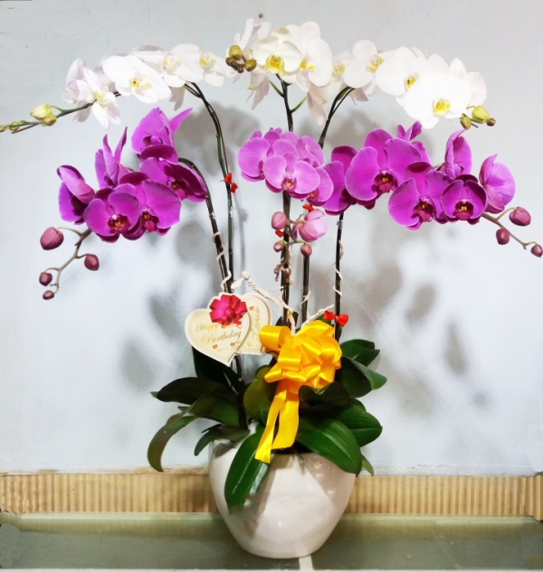 Shop Hoa Tươi Thị trấn Cái Tắc, Châu Thành A, Hậu Giang